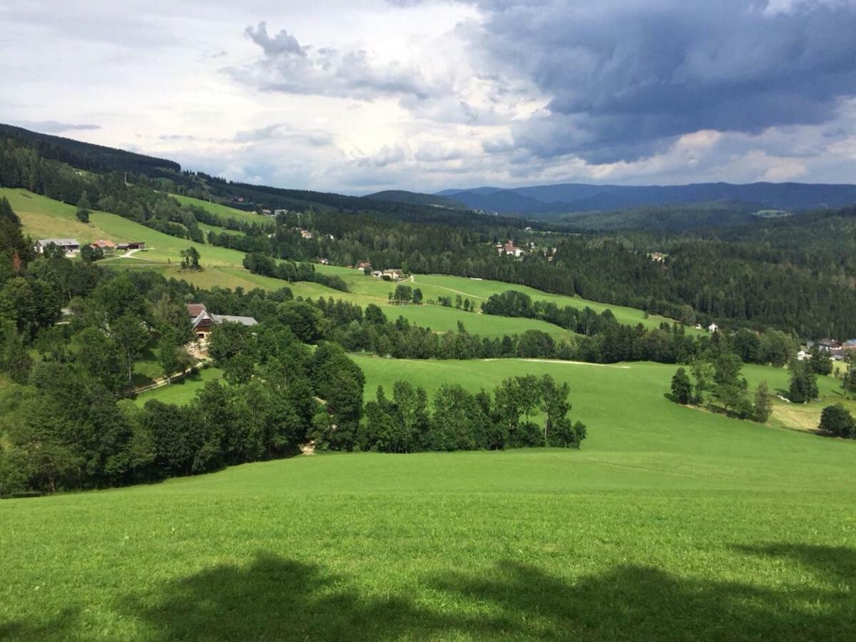 Вилла Glueckliche Elfen Санкт-Катрайн-ам-Хауэнштайн Экстерьер фото