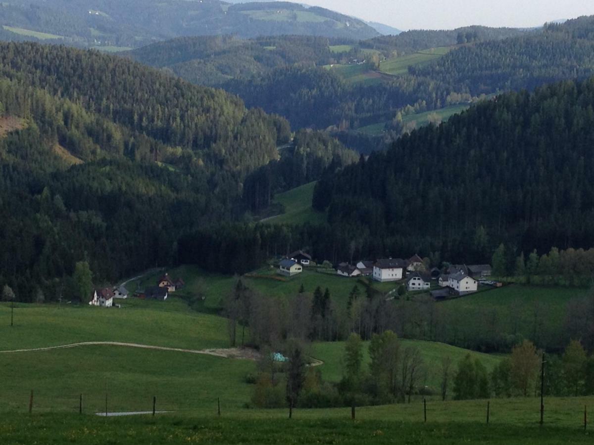 Вилла Glueckliche Elfen Санкт-Катрайн-ам-Хауэнштайн Экстерьер фото